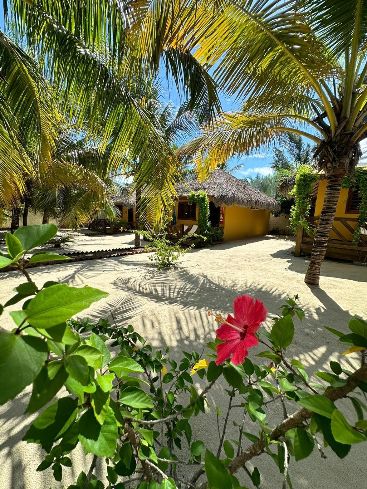 Pousada Vento Do Kite Barra Grande  Exterior photo